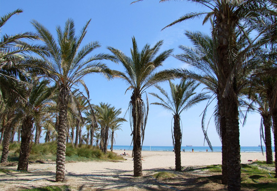 Castelló reobri les platges i permet els passejos i la pràctica d’esport amb restriccions