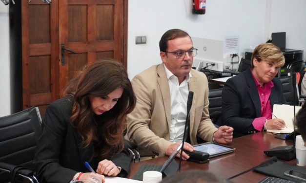 El vicepresident Andrés Martínez assisteix a la Comissió de Turisme de la FEMP