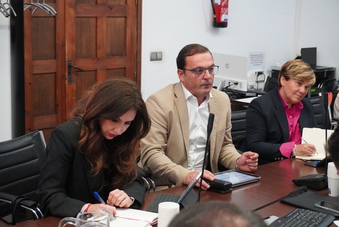 El vicepresident Andrés Martínez assisteix a la Comissió de Turisme de la FEMP