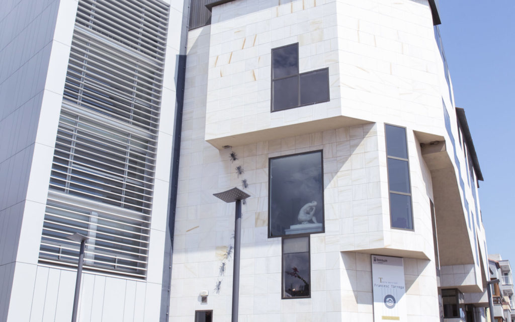 Catorze categories cinematogràfiques guardonades en els Premis Goya han sigut o seran projectades en el Teatre Municipal