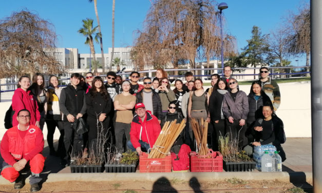 La Universitat Jaume I impulsa una jornada de reforestació a Artana dins del programa UJI-Voluntària