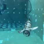 El CIRTESU de l’UJI crea un prototip experimental de peix robòtic modular per al seu ús en aqüicultura que redueix l’estrès dels peixos