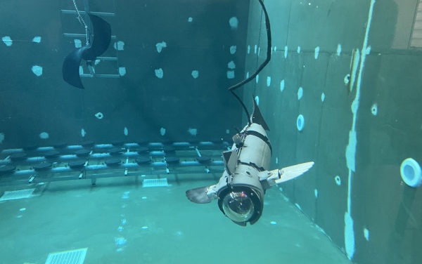 El CIRTESU de l’UJI crea un prototip experimental de peix robòtic modular per al seu ús en aqüicultura que redueix l’estrès dels peixos