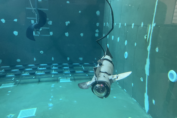 El CIRTESU de l’UJI crea un prototip experimental de peix robòtic modular per al seu ús en aqüicultura que redueix l’estrès dels peixos